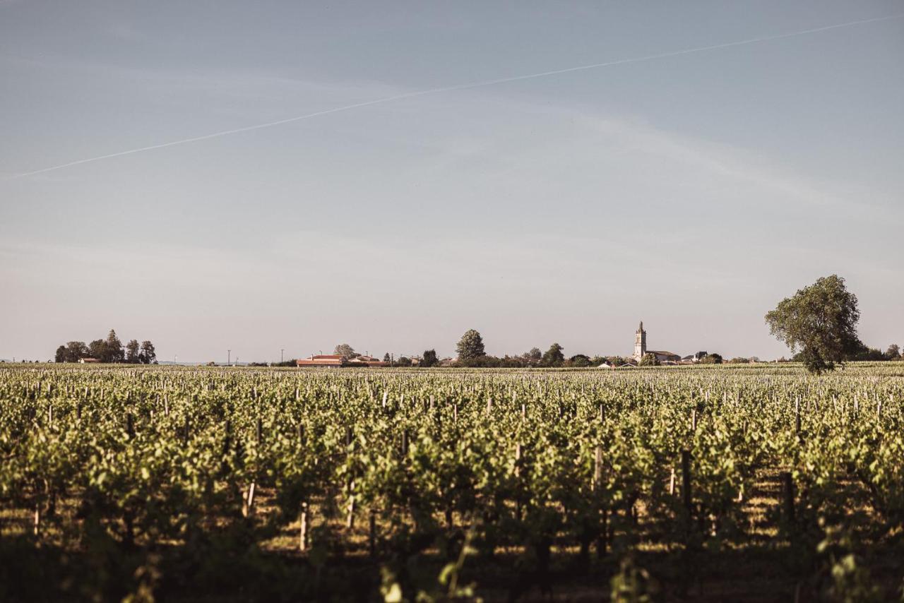 Chateau Laffitte Carcasset Saint-Estephe  Ngoại thất bức ảnh